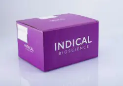 INIDICAL